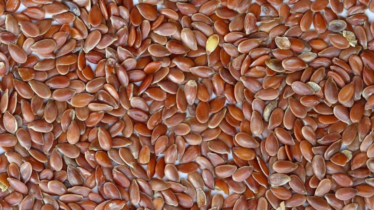 Flax Seed Benefits Nutrition And How To Eat It